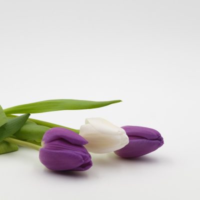 bunch-of-flowers-3158357_1280